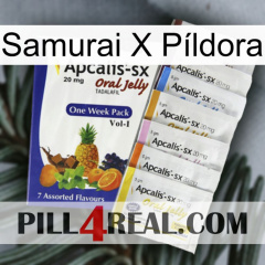 Samurai X Píldora 11